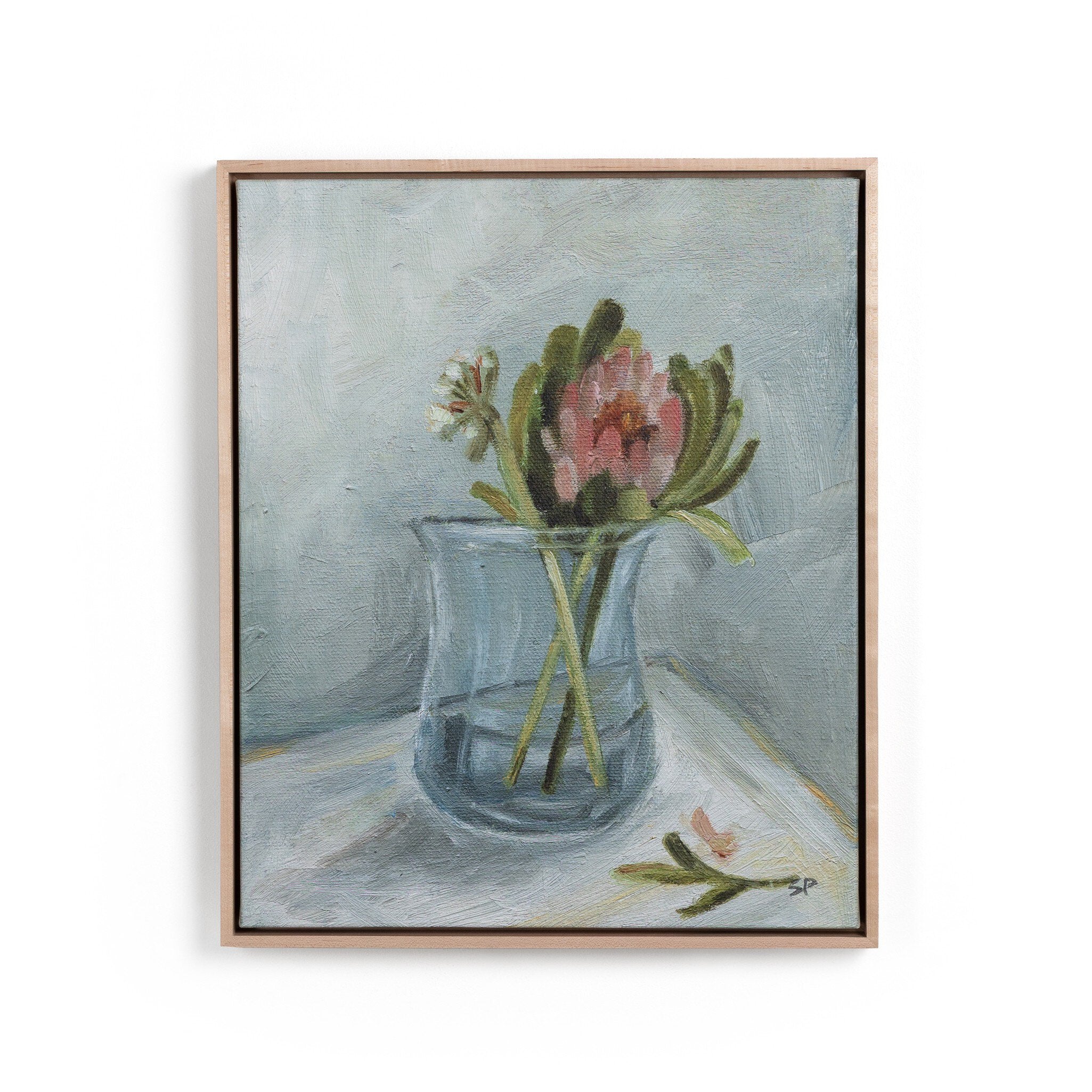 Protea Still Life By Shaina Page