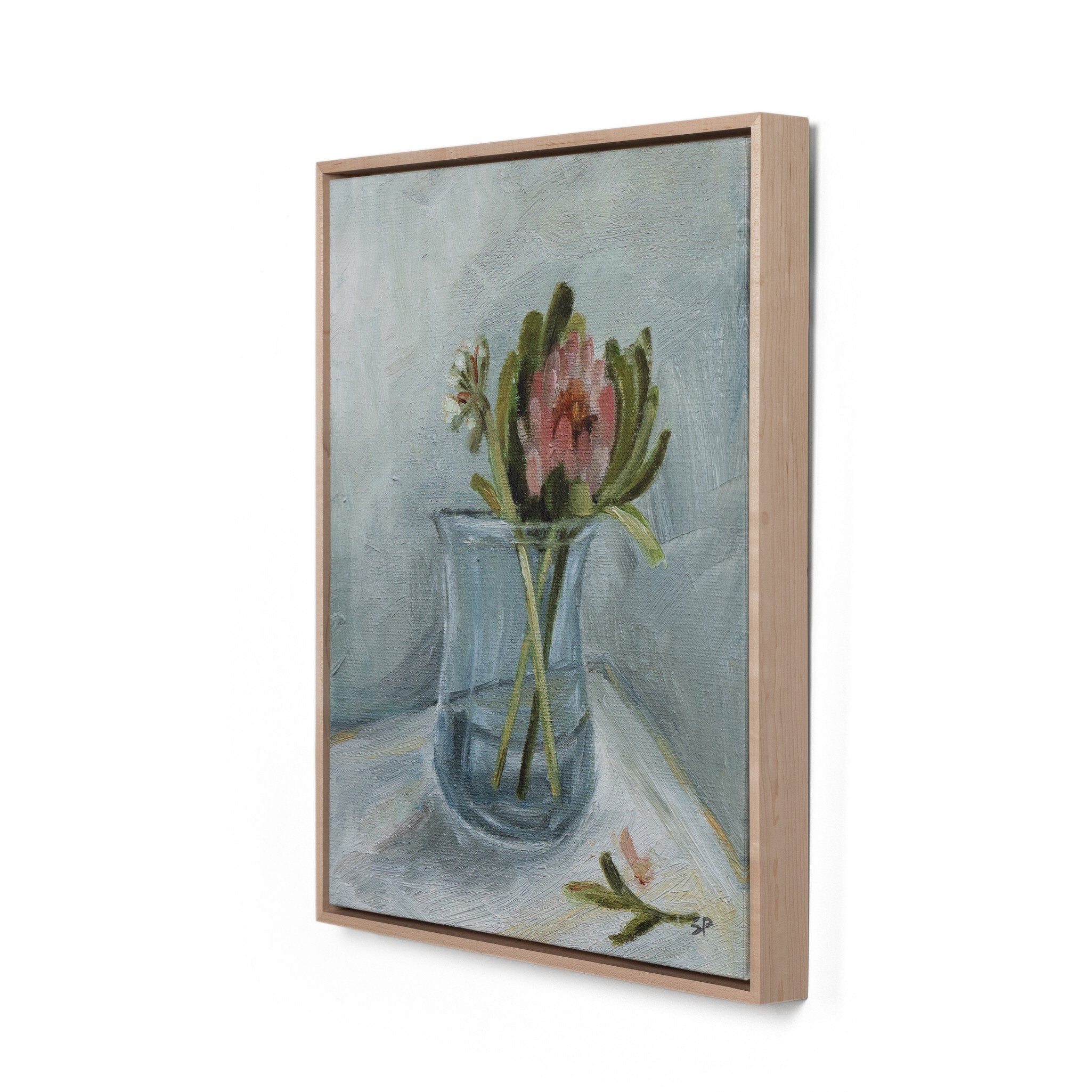 Protea Still Life By Shaina Page