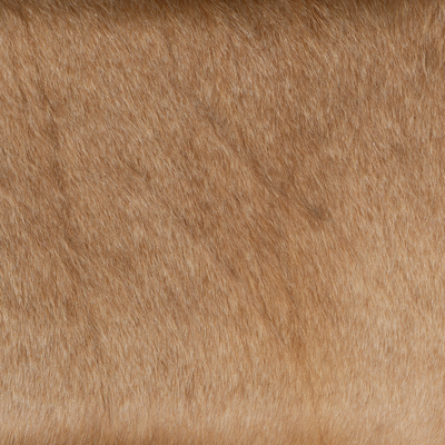 #color_light-hair-on-hide