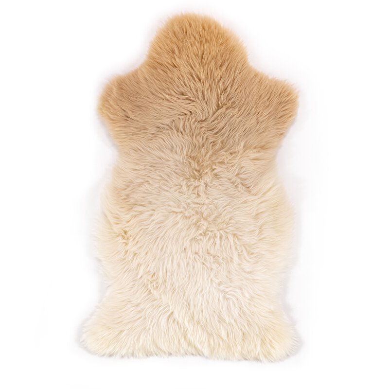 #color_beige-ombre