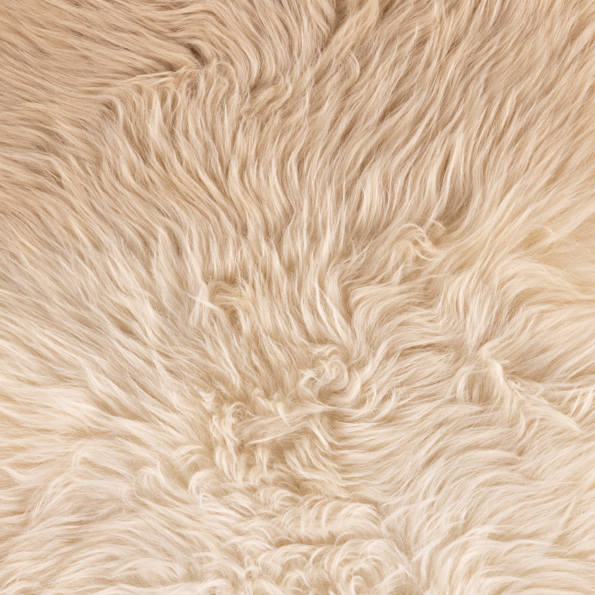 #color_beige-ombre