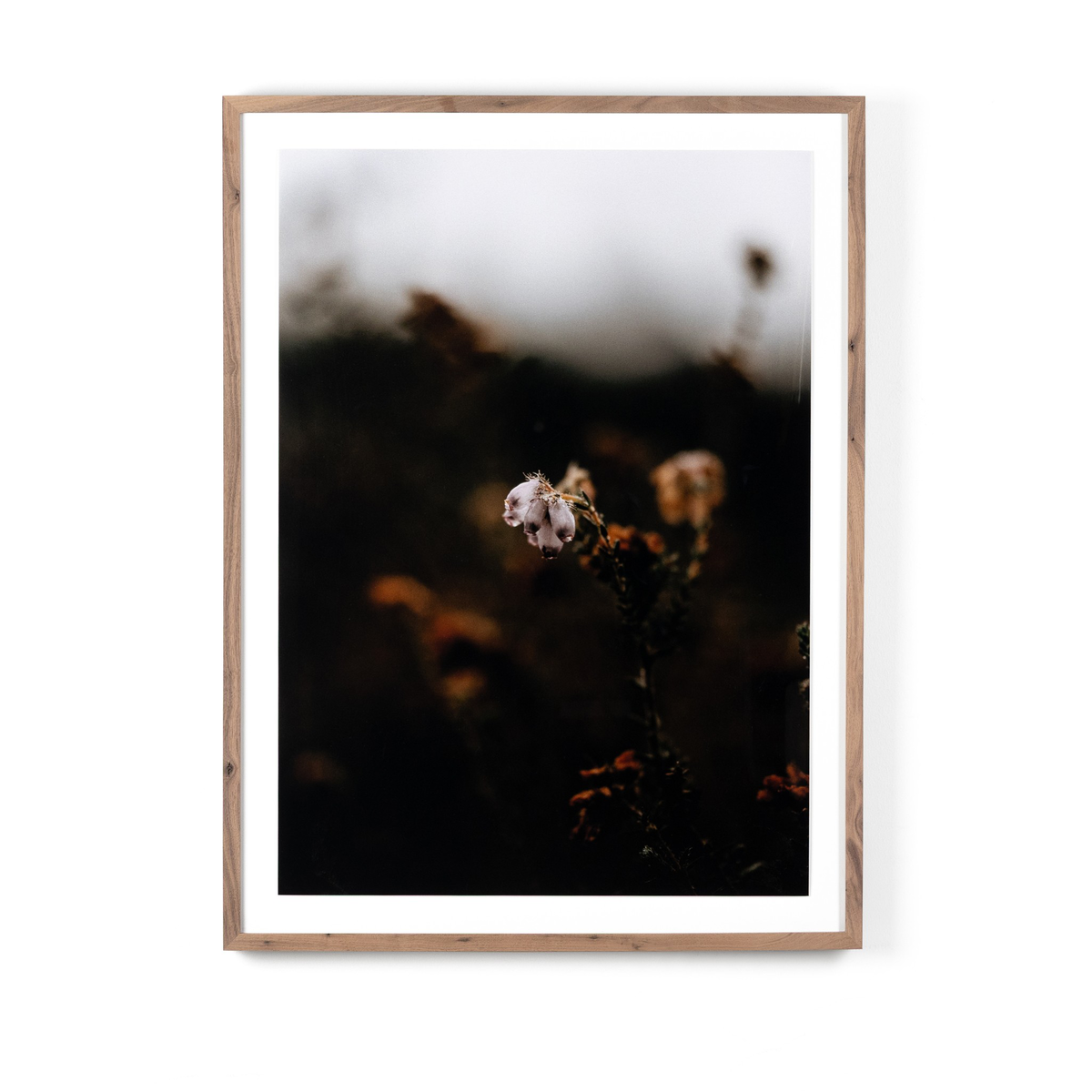 Escape Ii By Annie Spratt by Four Hands