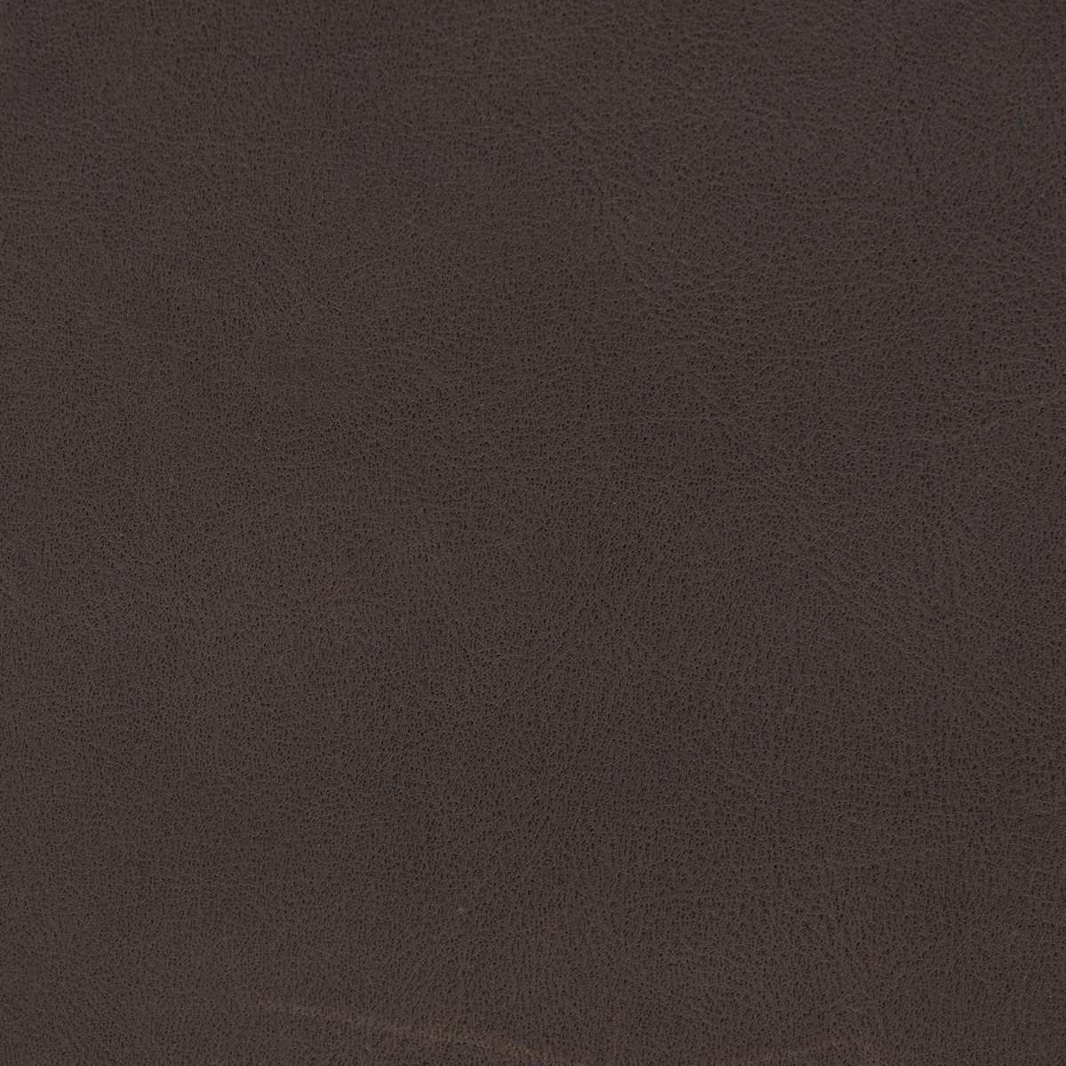 Salado Bed by Four Hands