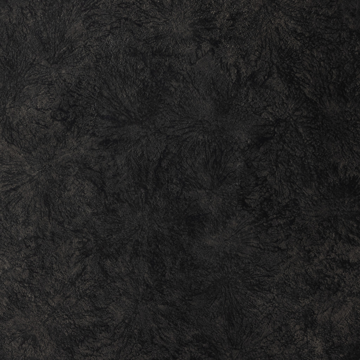 #color_raw-black