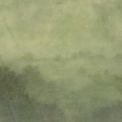 After The Rain By Aileen Fitzgerald