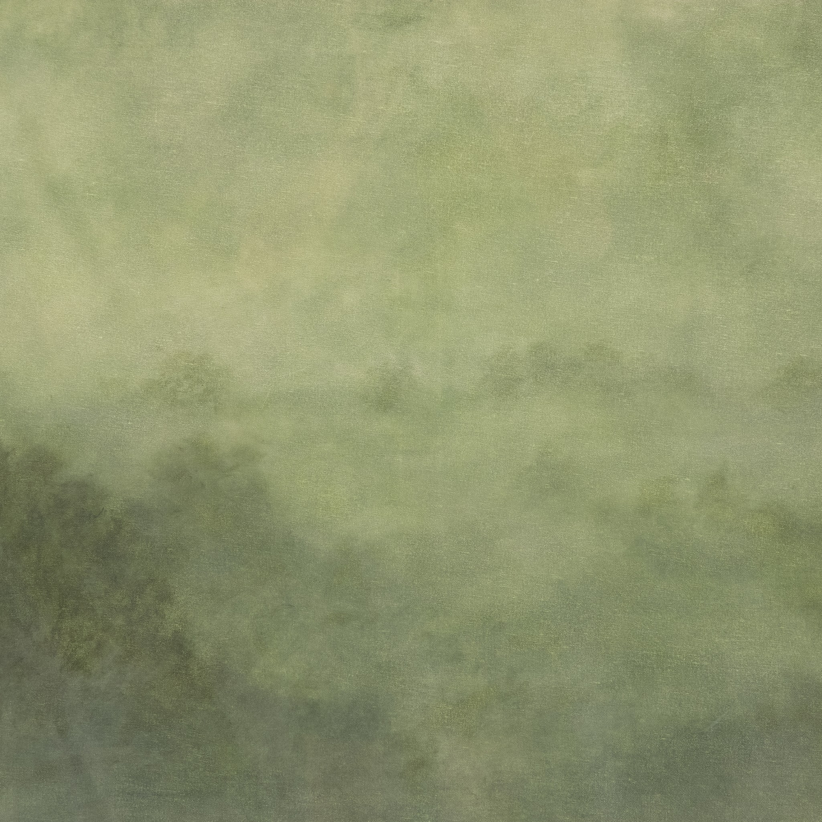 After The Rain By Aileen Fitzgerald