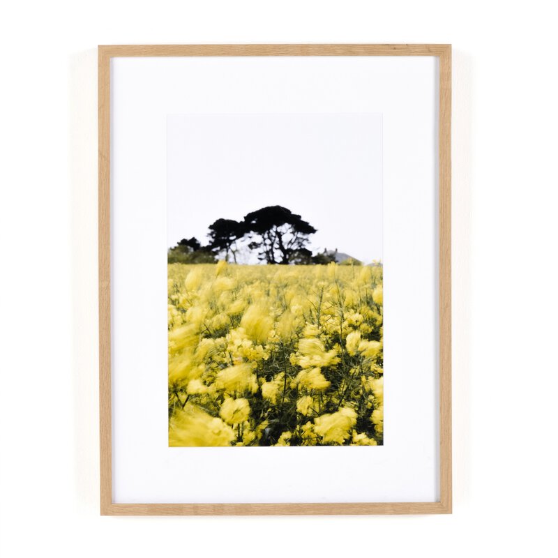 #color_vertical-grain-2.5-white-oak