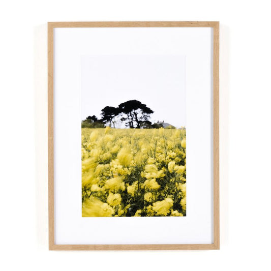 #color_vertical-grain-2.5-white-oak