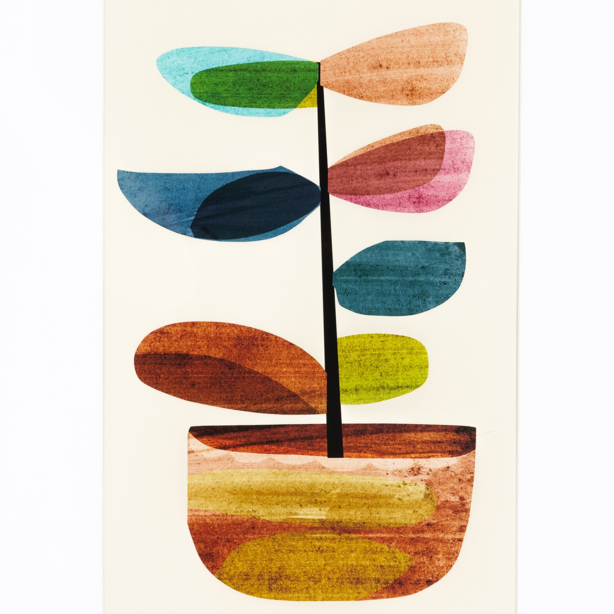 #color_vertical-grain-2.5-white-oak