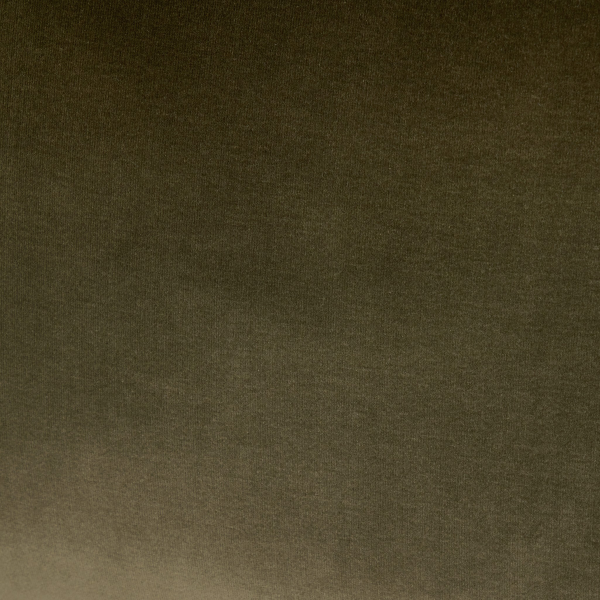 #color_surrey-olive