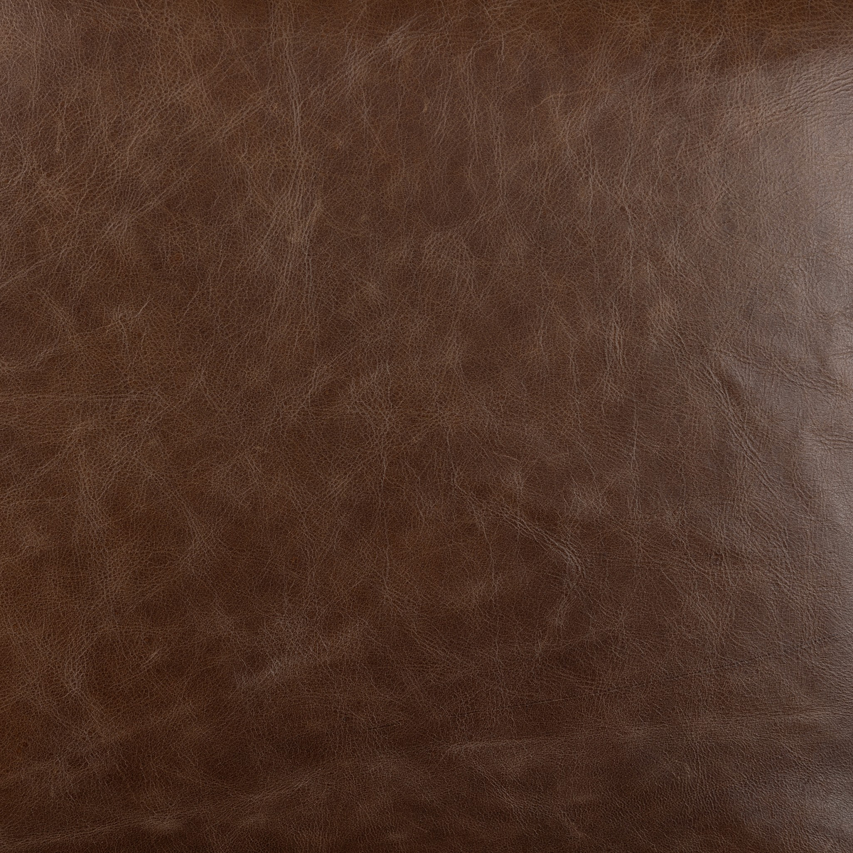 #color_havana-brown