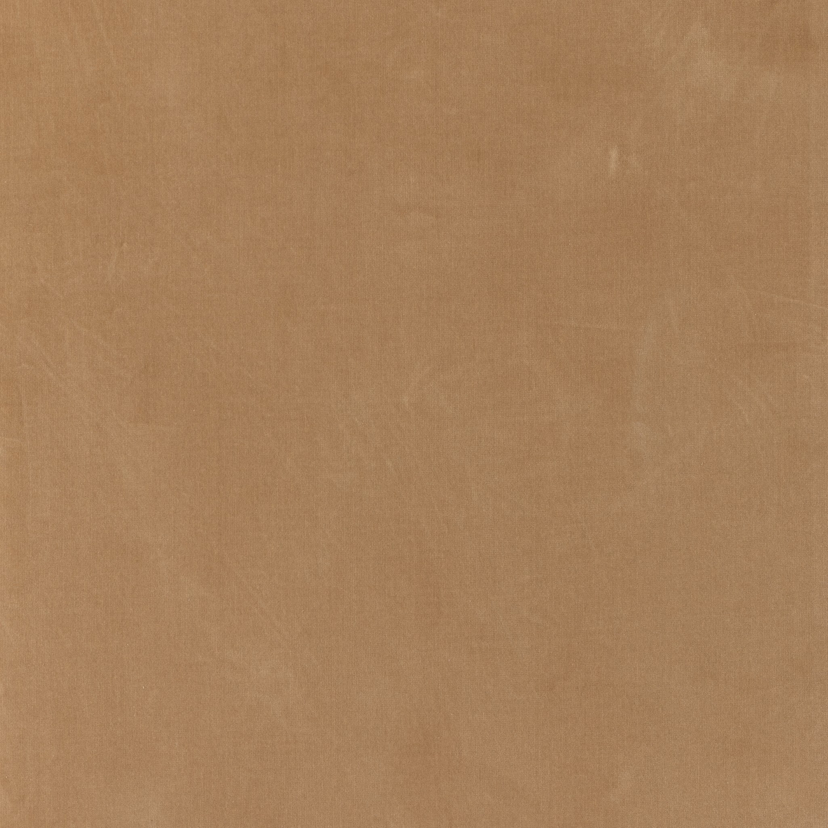 #color_surrey-camel