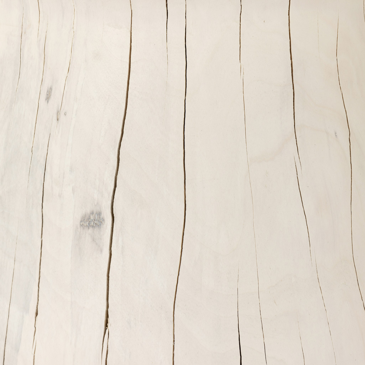 #color_ivory
