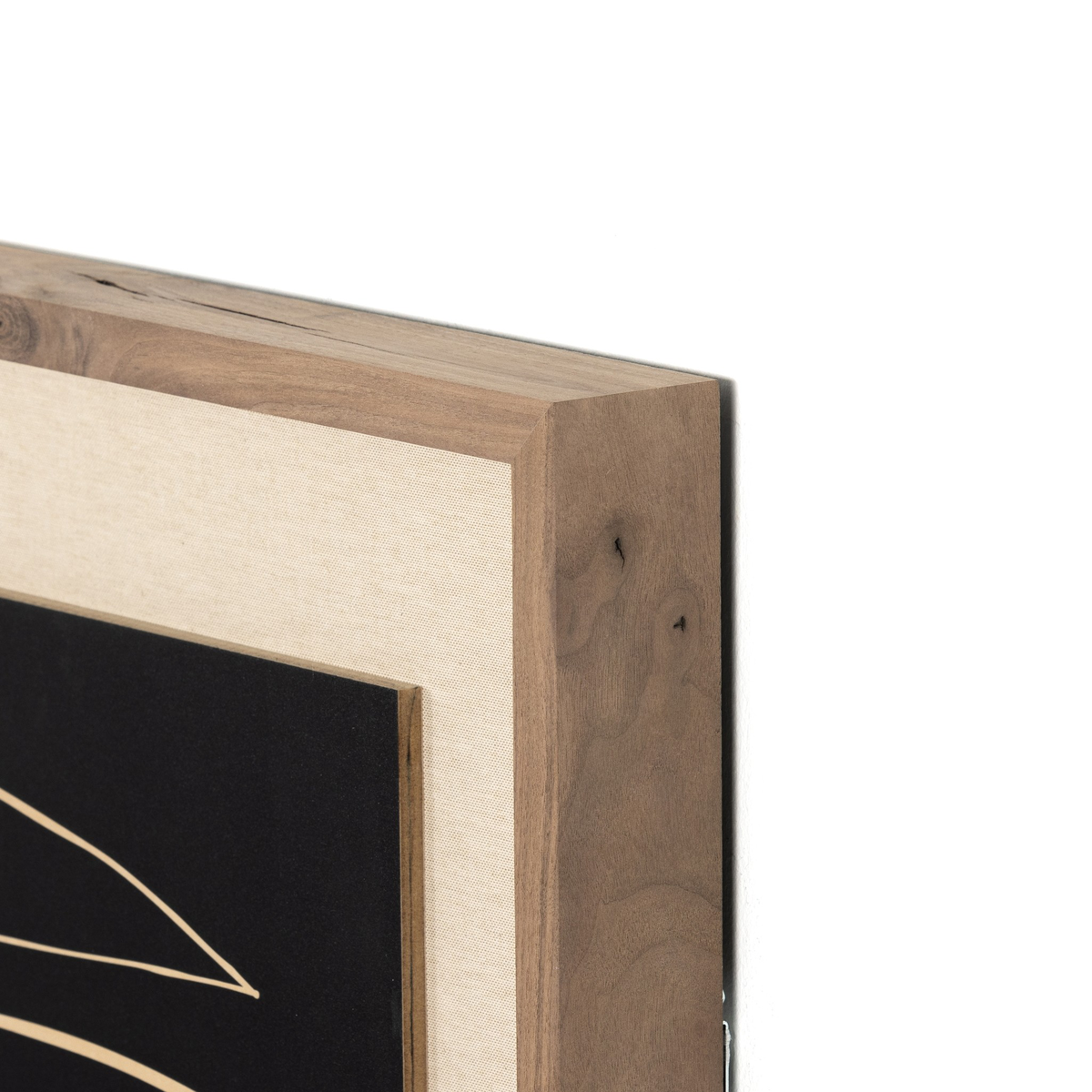 Abstract Botanic Line Drawing By Roseanne Kenny