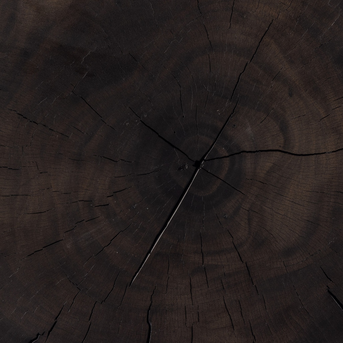 #color_rubbed-black