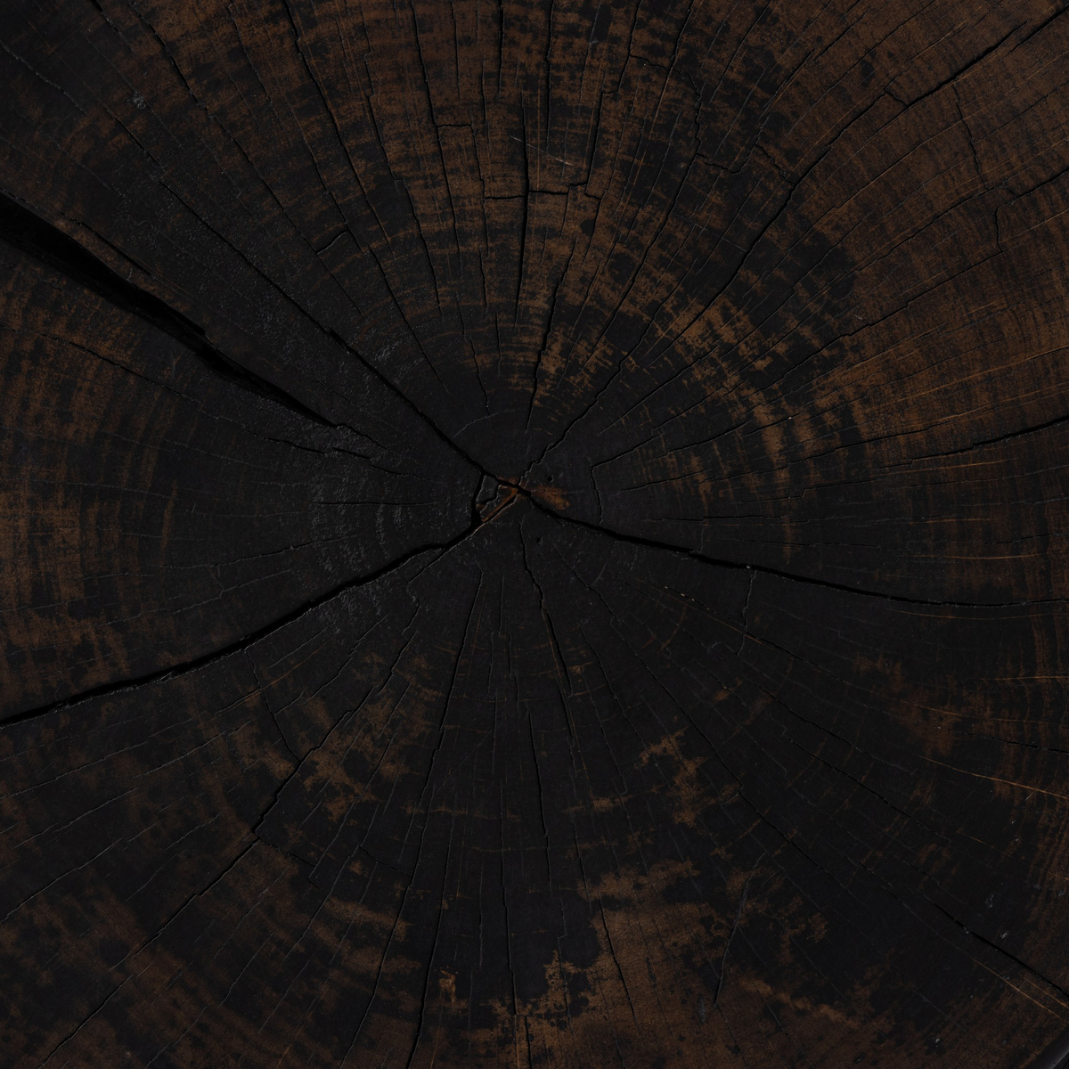 #color_rubbed-black
