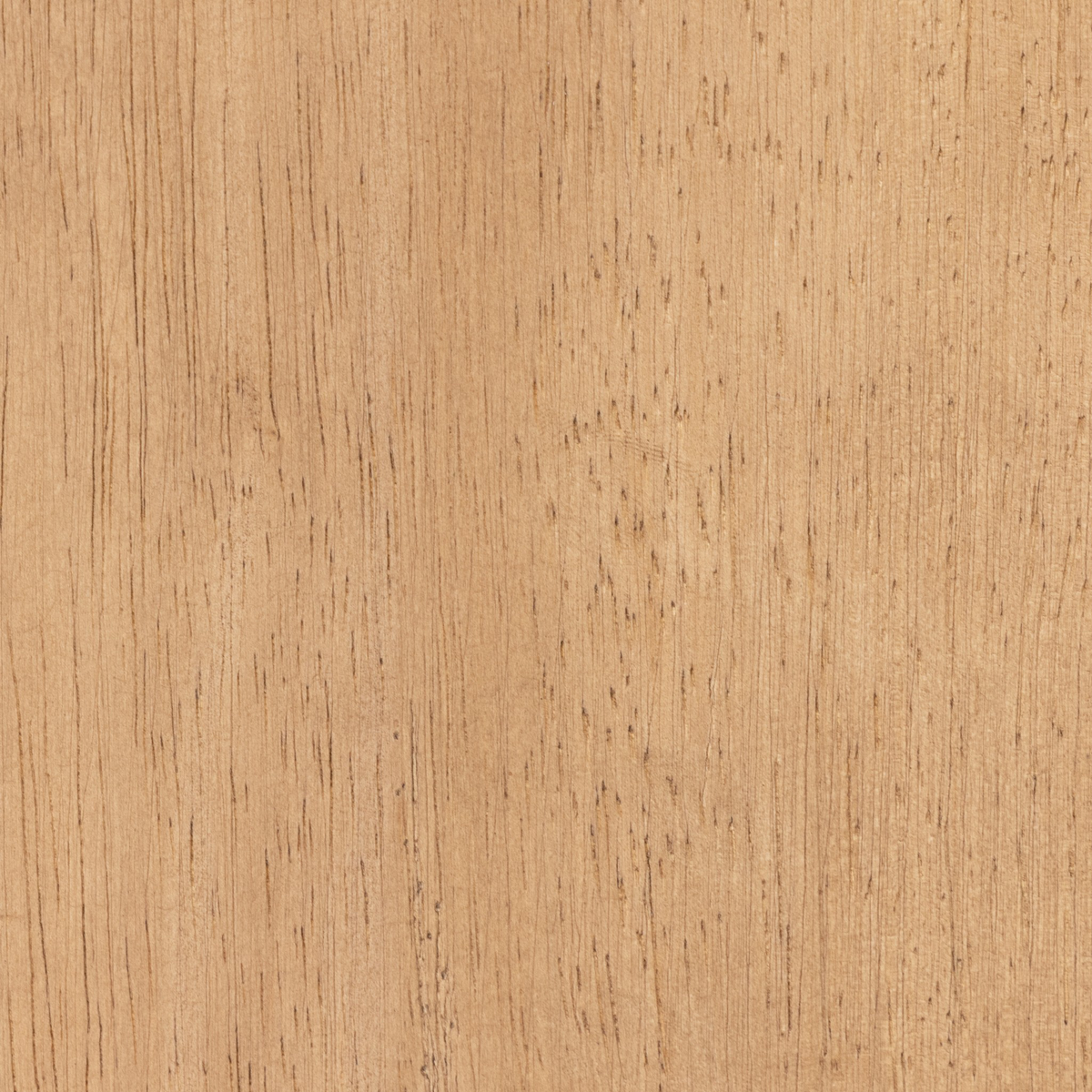 Mesa Round Coffee Table