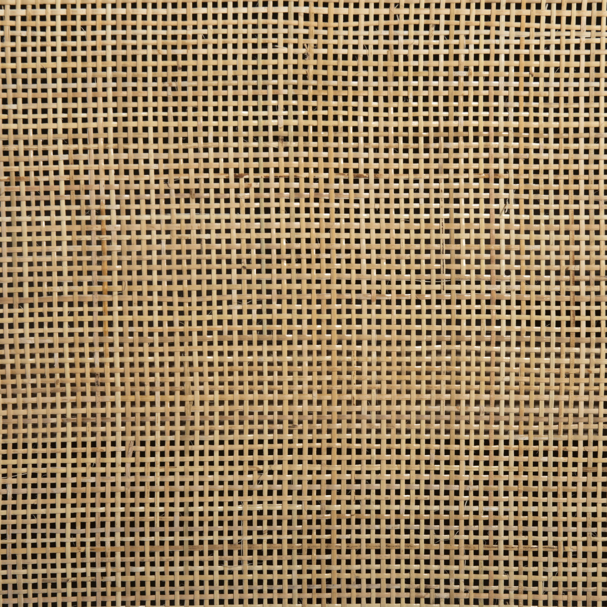 Caprice Wide Bookshelf