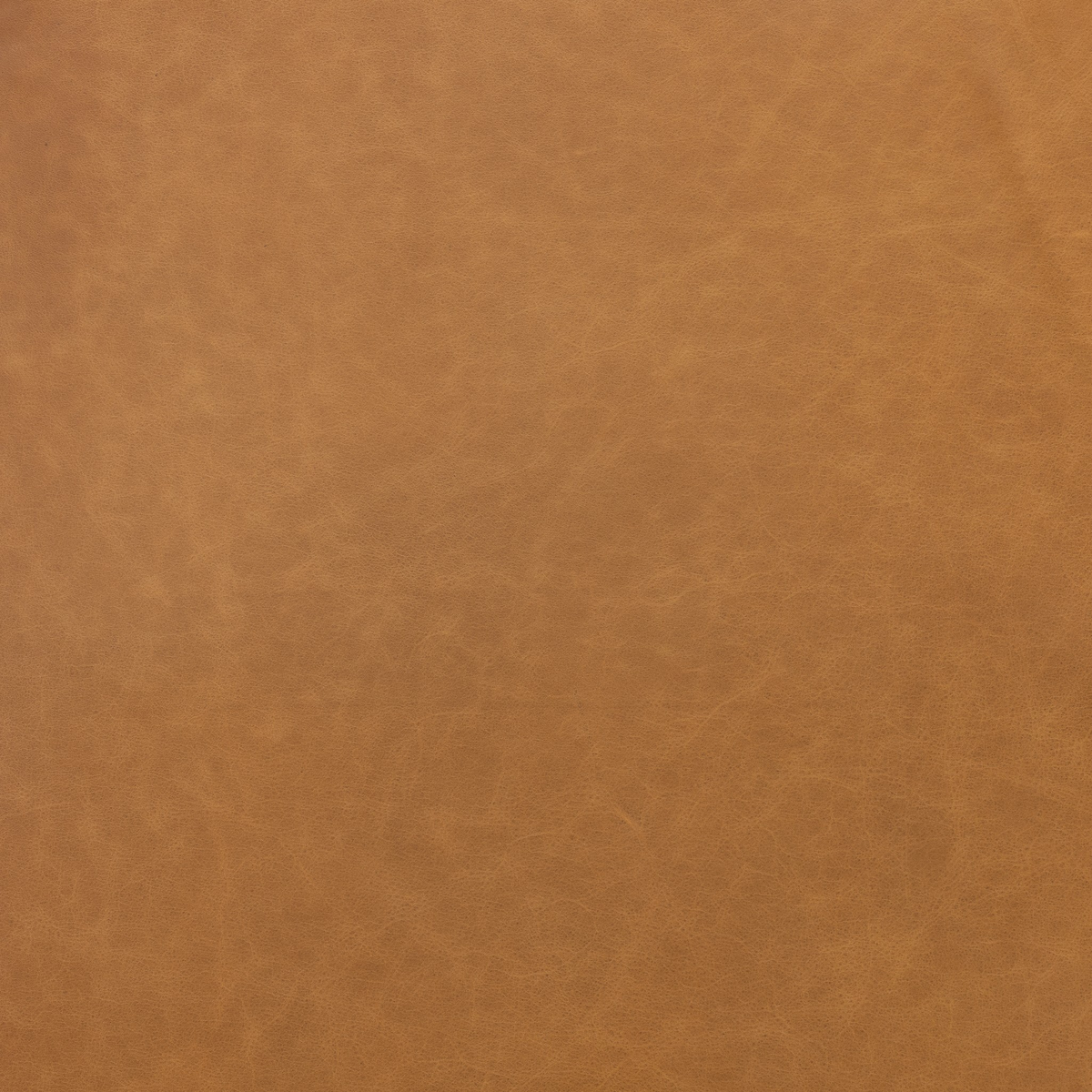 Quinton Swivel Chair