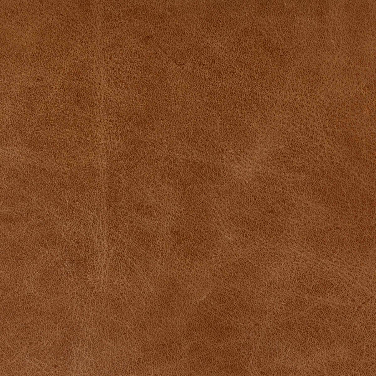 #color_antwerp-natural