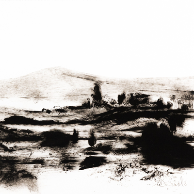 Mono Land By Dan Hobday by Four Hands