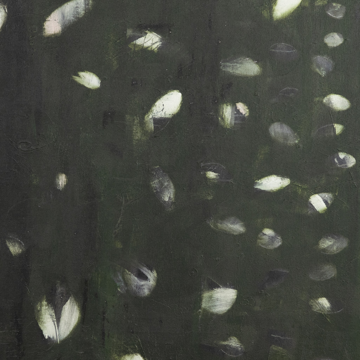 #color_black-maple-floater
