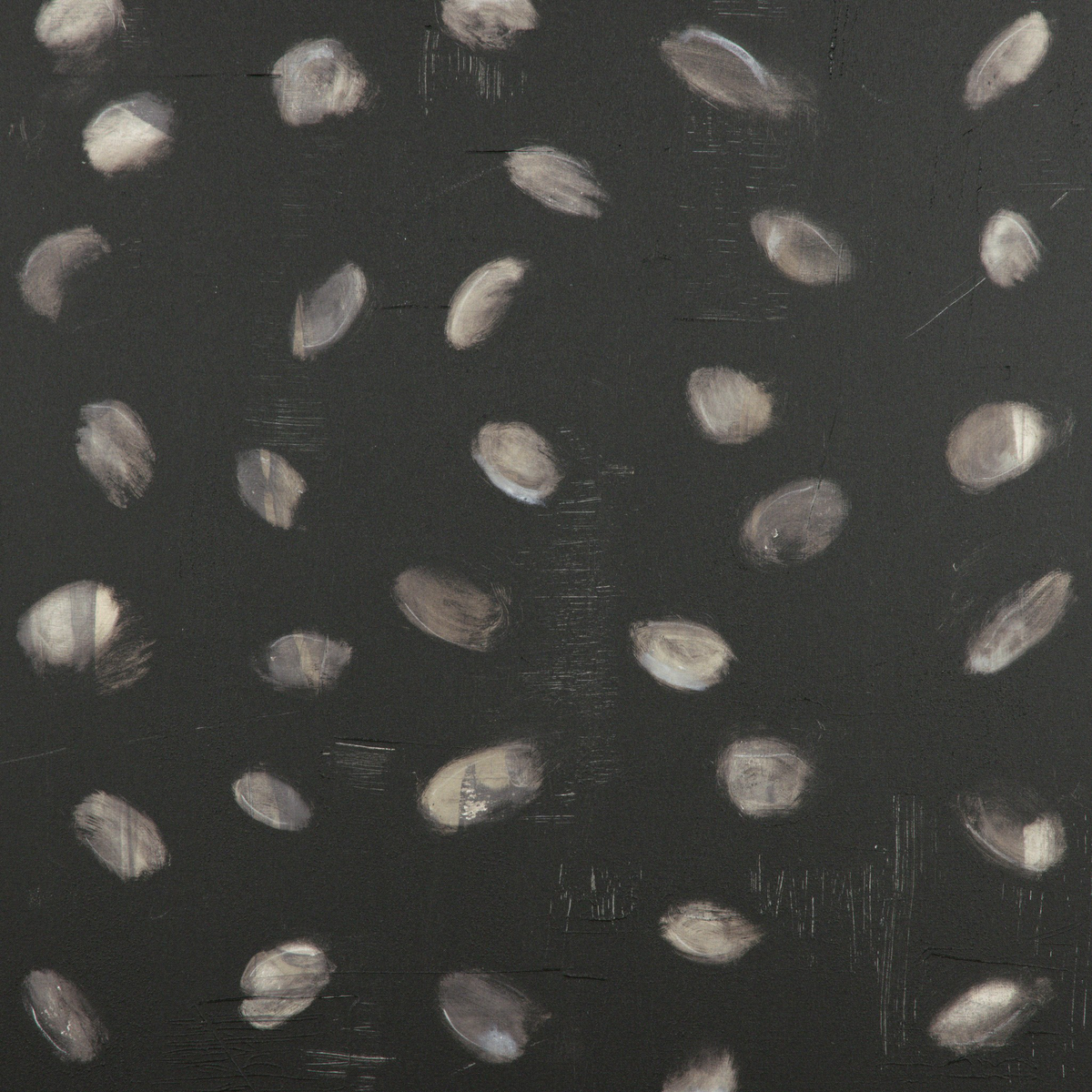 #color_black-maple-floater