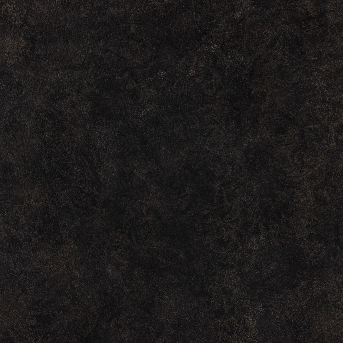 #color_raw-black