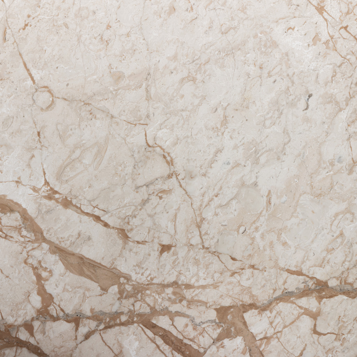 #color_desert-taupe-marble