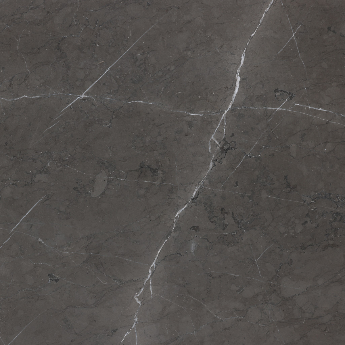 #color_grey-italian-marble