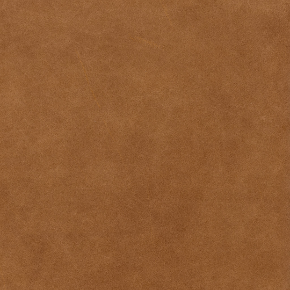 #color_sonoma-butterscotch