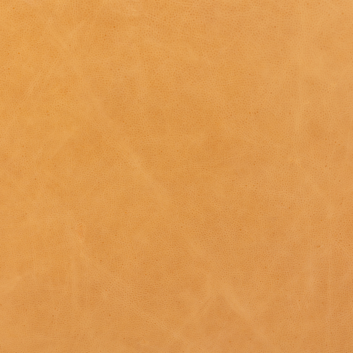 #color_palermo-butterscotch