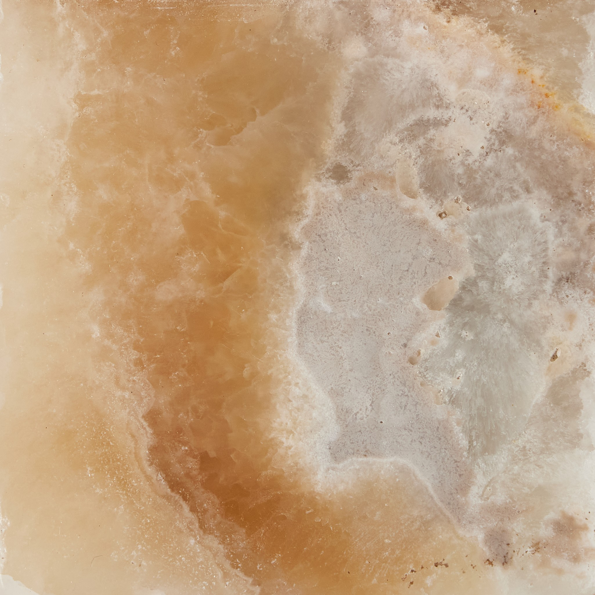#color_onyx