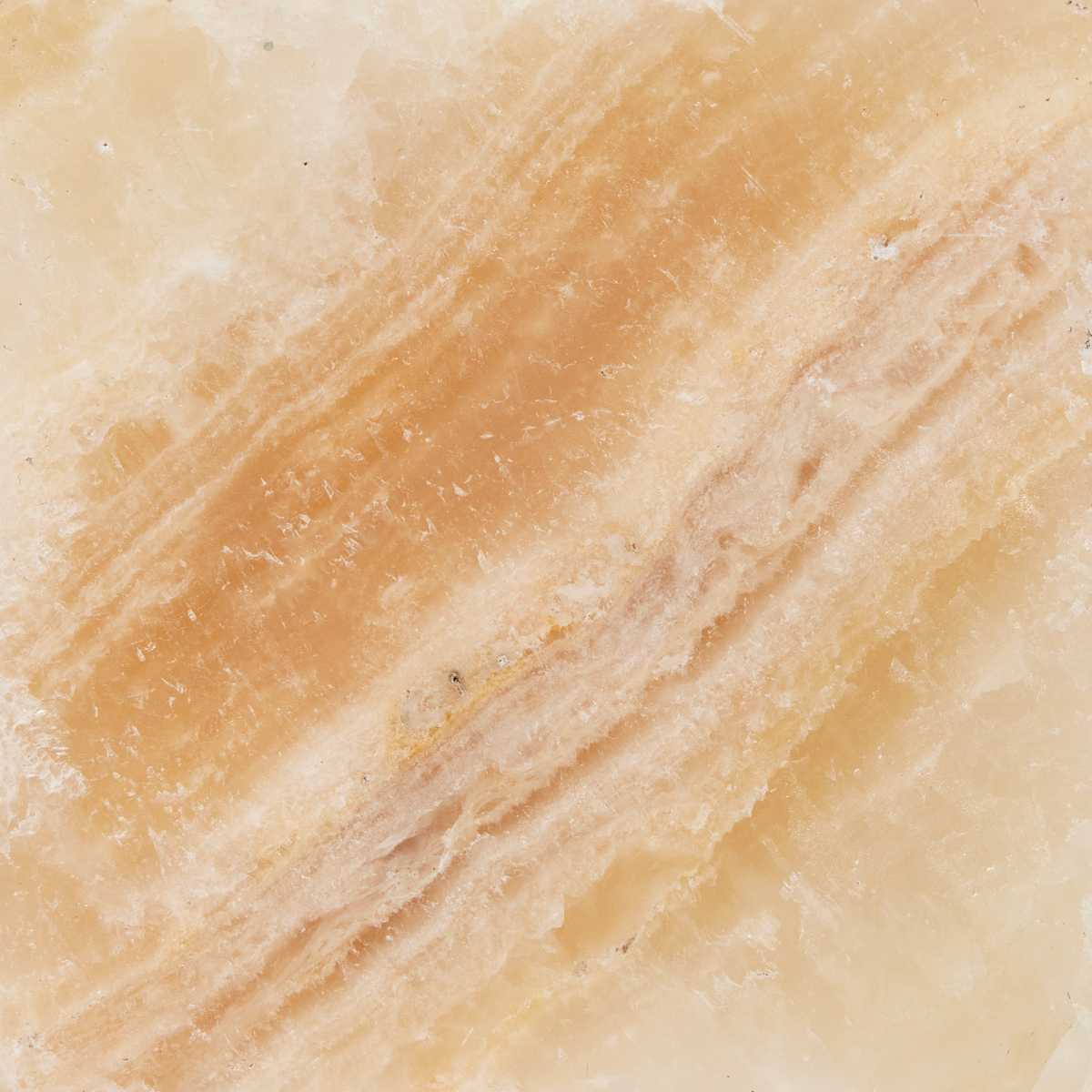 #color_onyx