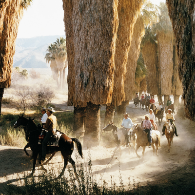 Palm Springs Riders By Slim Aarons by Four Hands