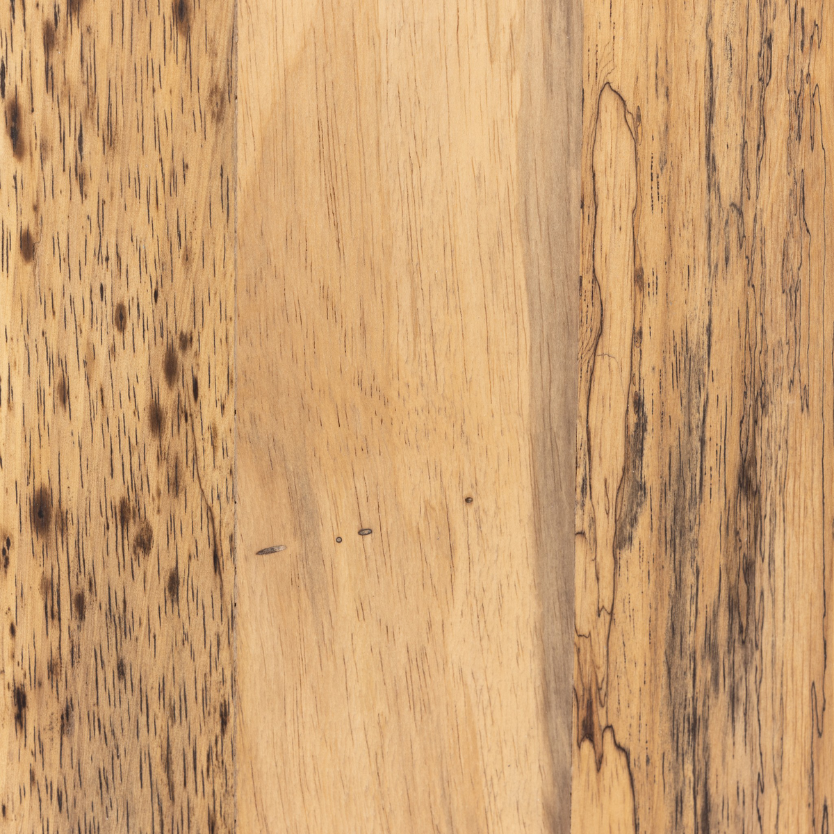 #color_spalted-primavera