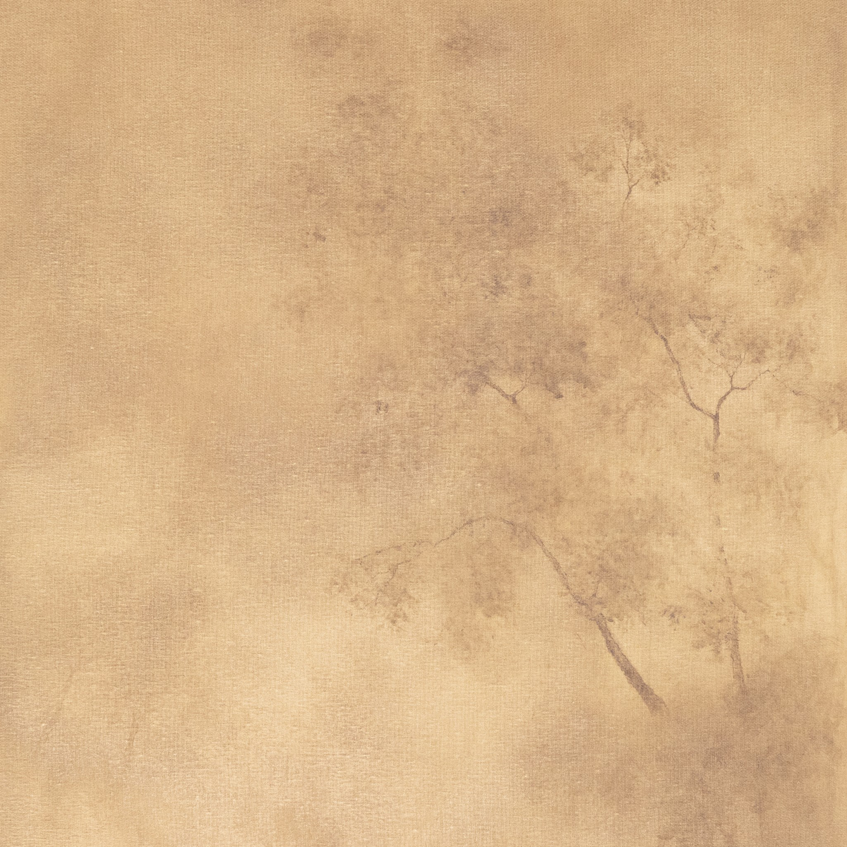 #color_vertical-grain-white-oak-floater