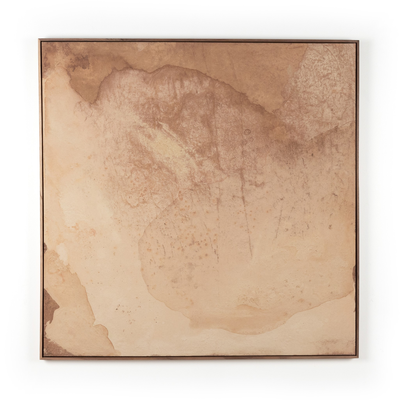 Unforeseen Beauty By Molly Supplee by Four Hands