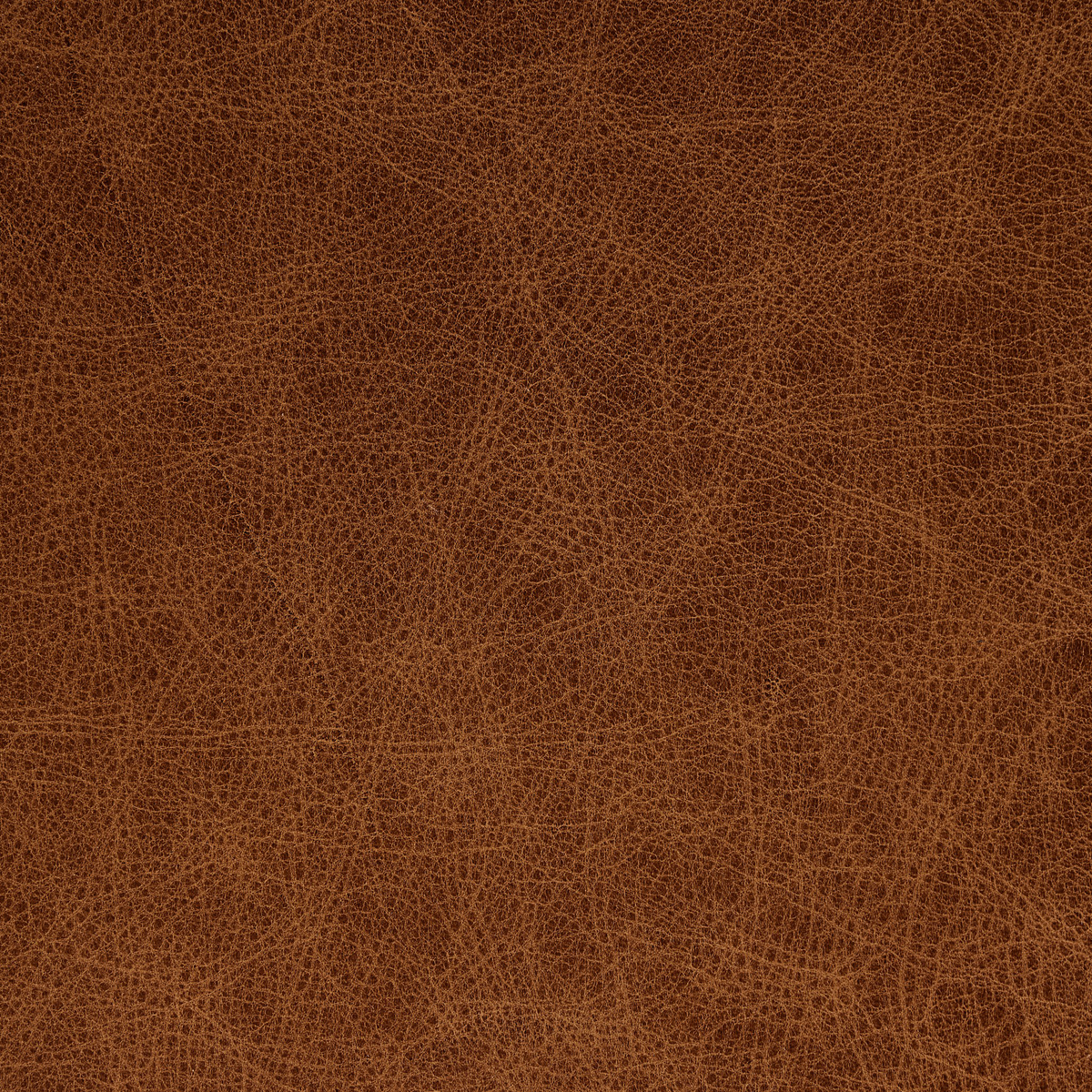 #color_chaps-saddle