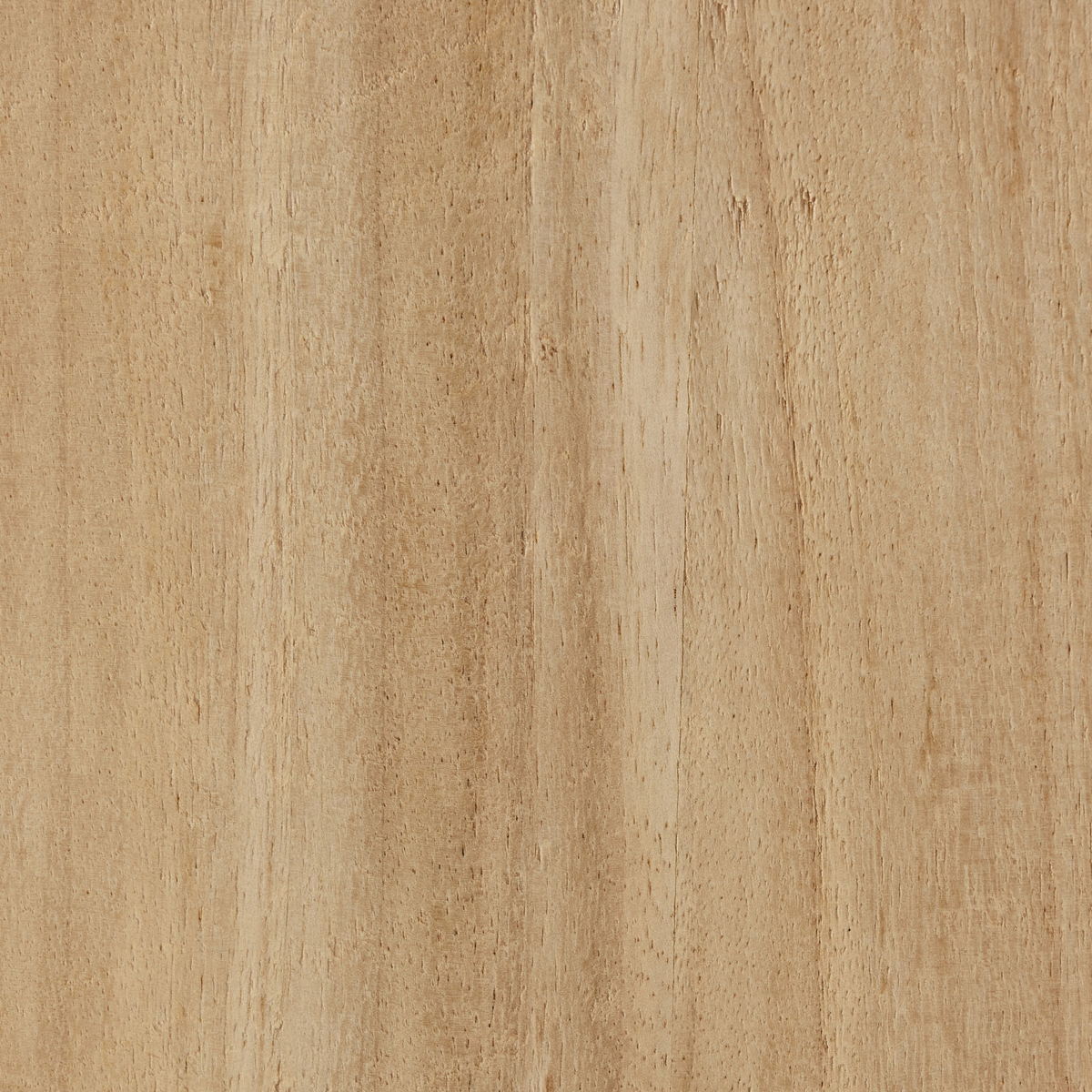 #color_light-warm-maple-veneer