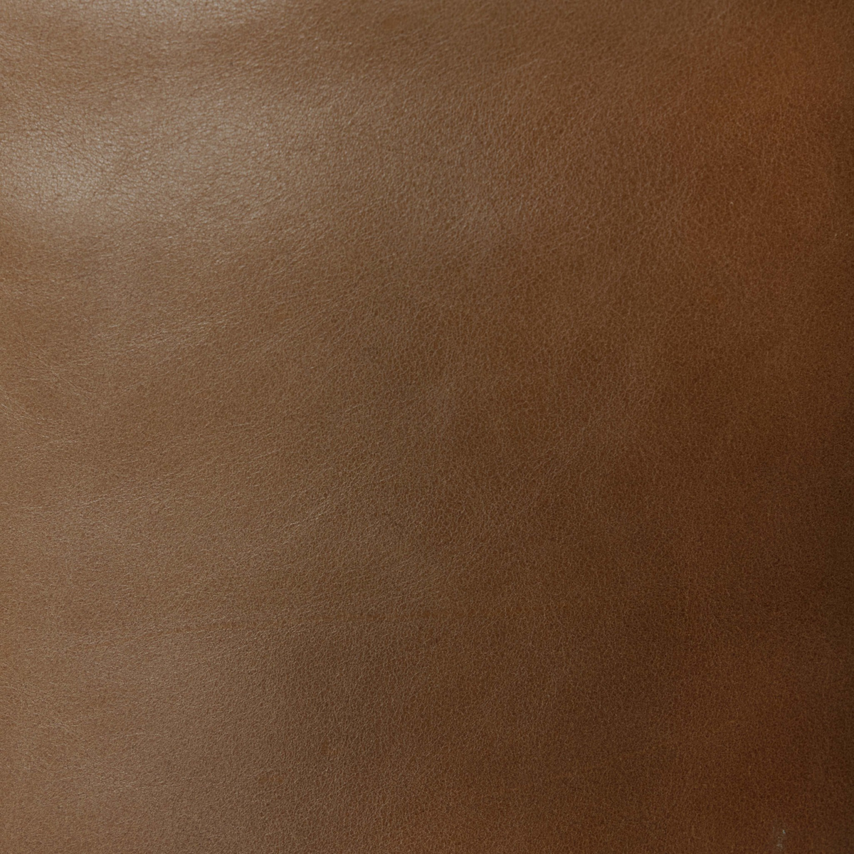 #color_sonoma-butterscotch