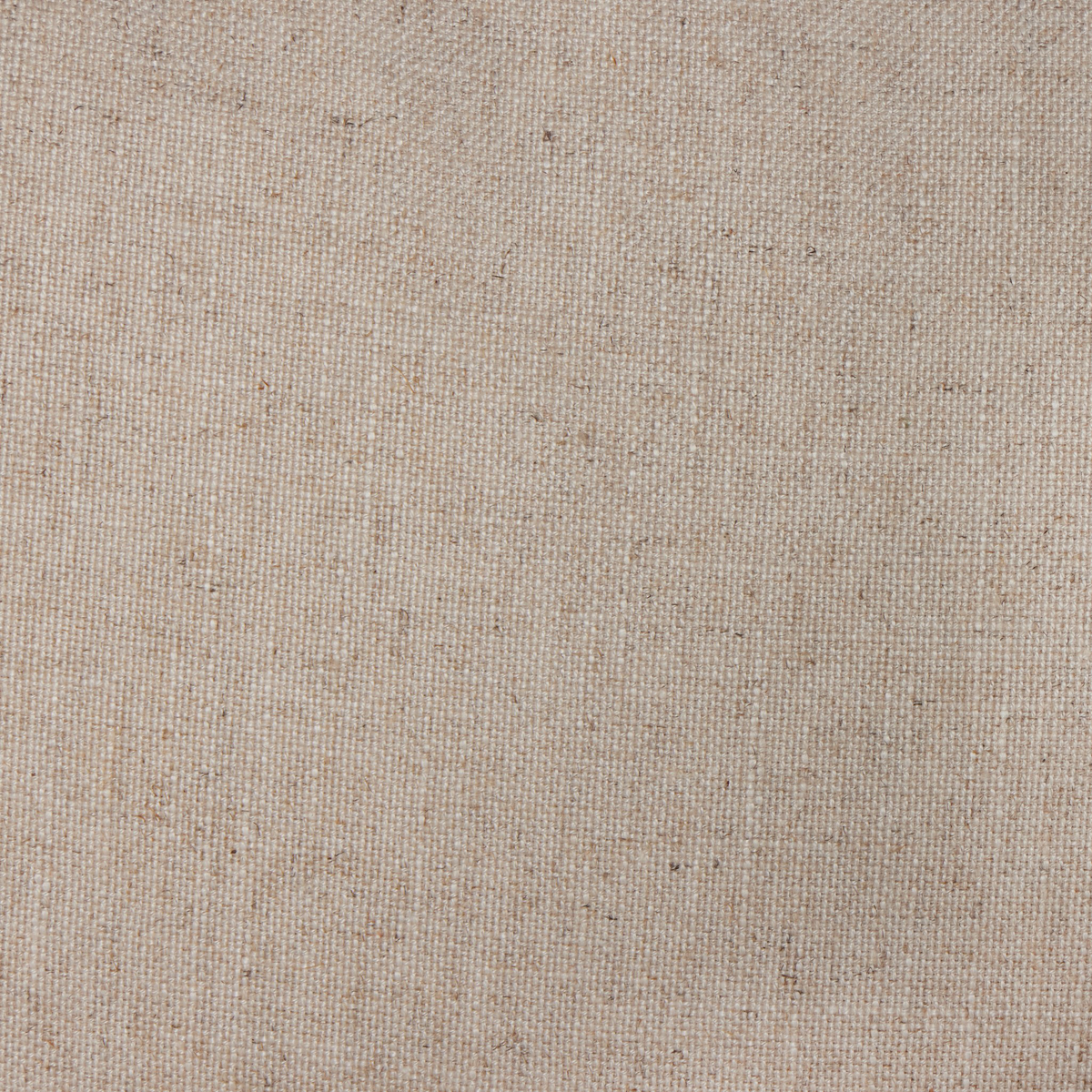 #color_evere-creme