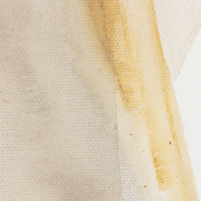 Wash Triptych By Jess Engle