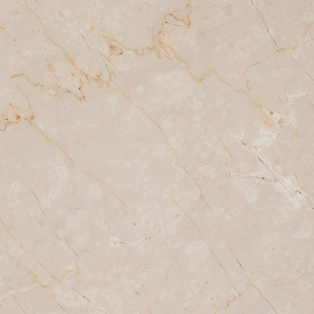 Zion Nesting Coffee Tables