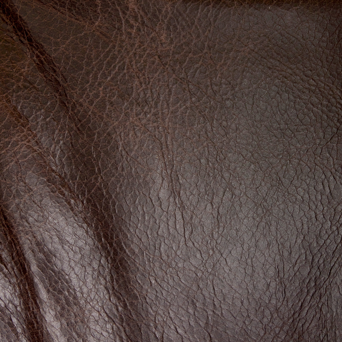 #color_conroe-cigar