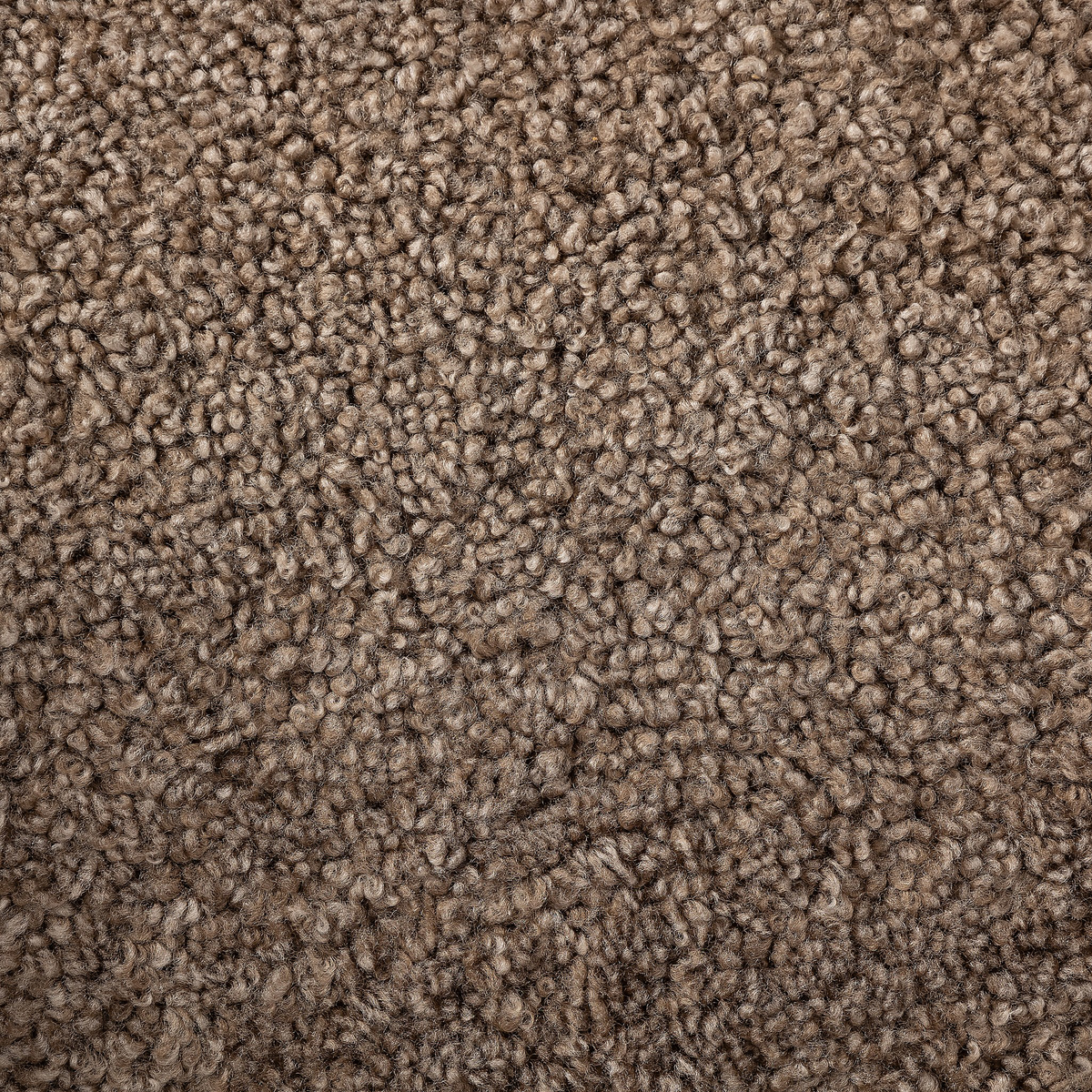 #color_taupe-shearling