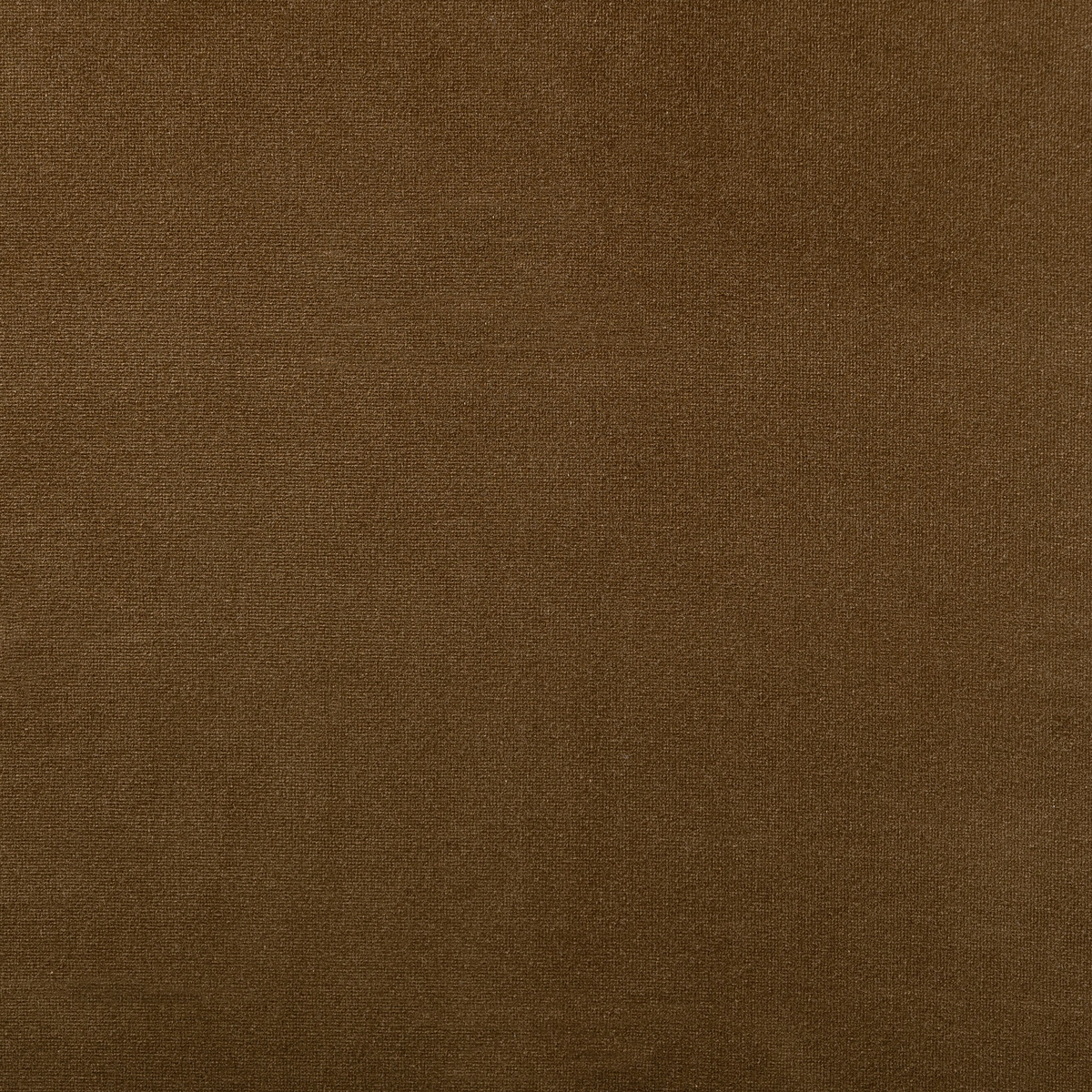 #color_surrey-ochre