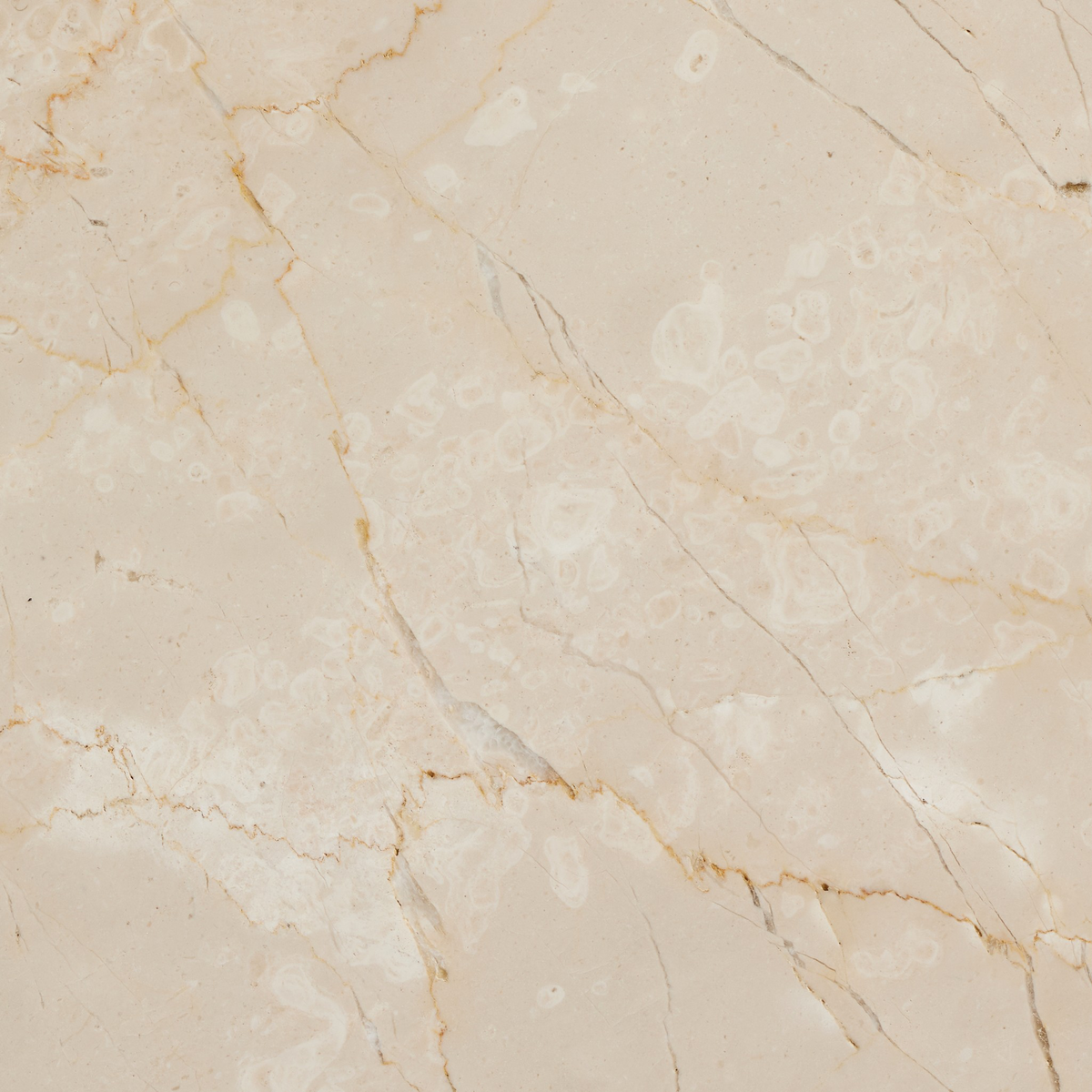 #color_cream-marble