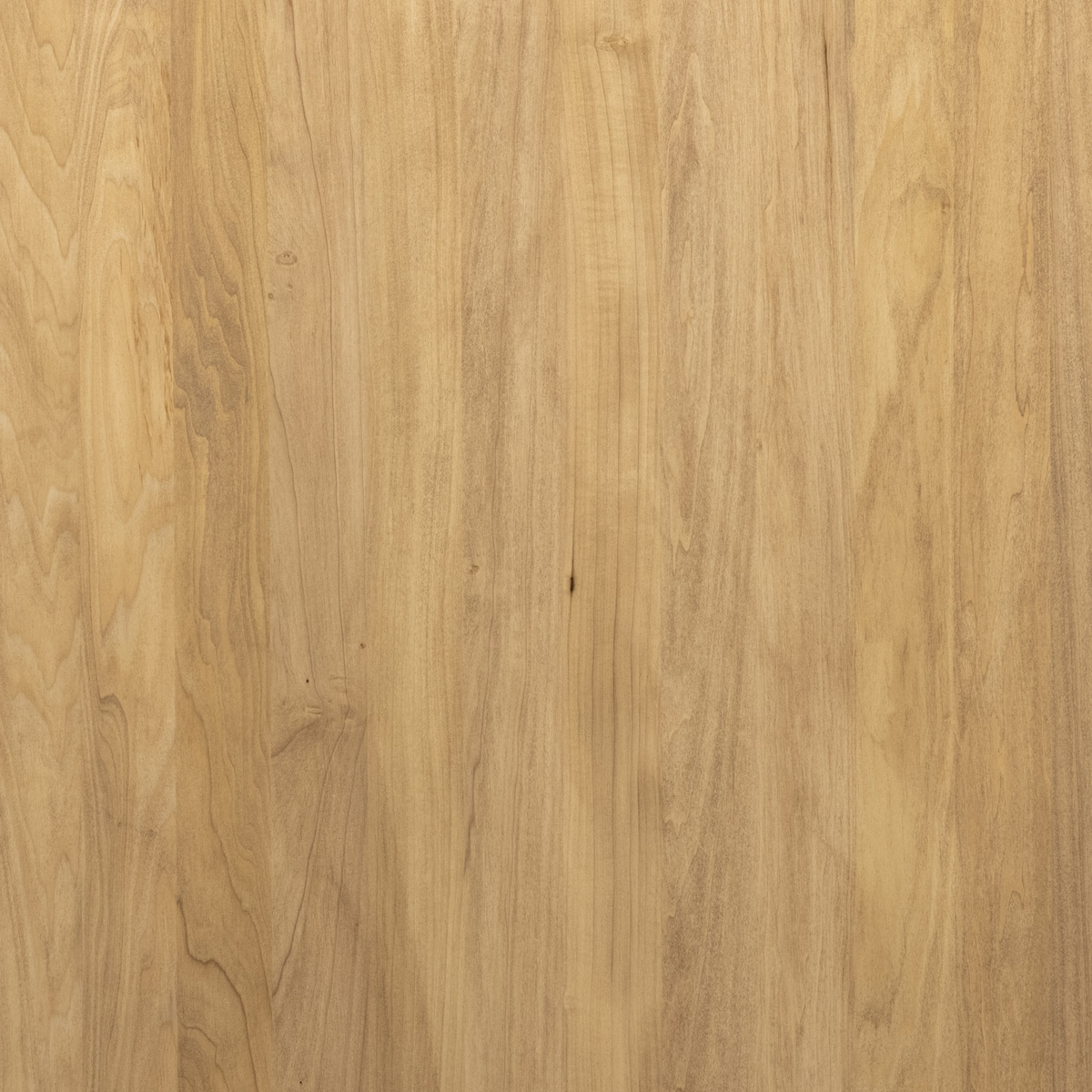#color_dry-wash-poplar