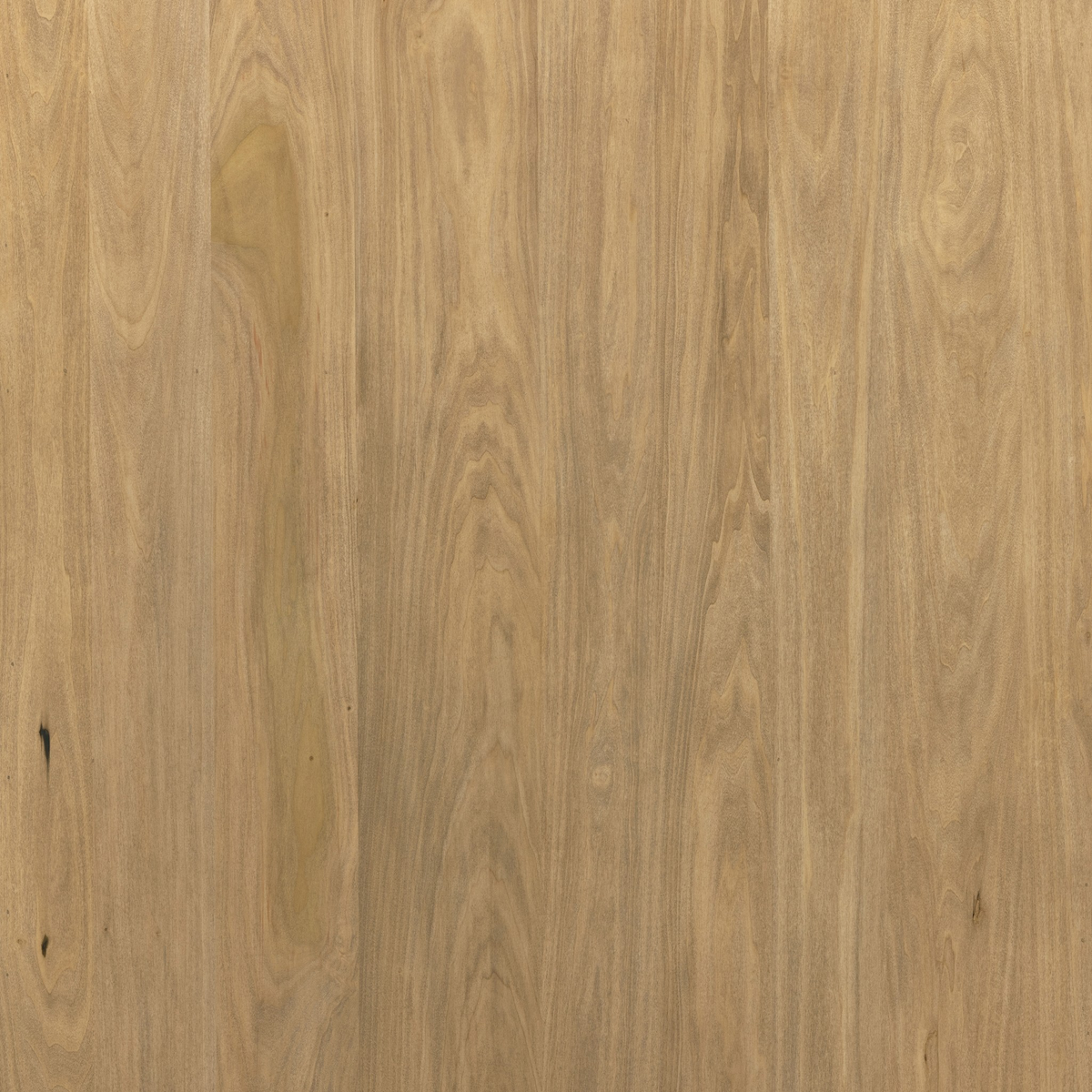 #color_dry-wash-poplar